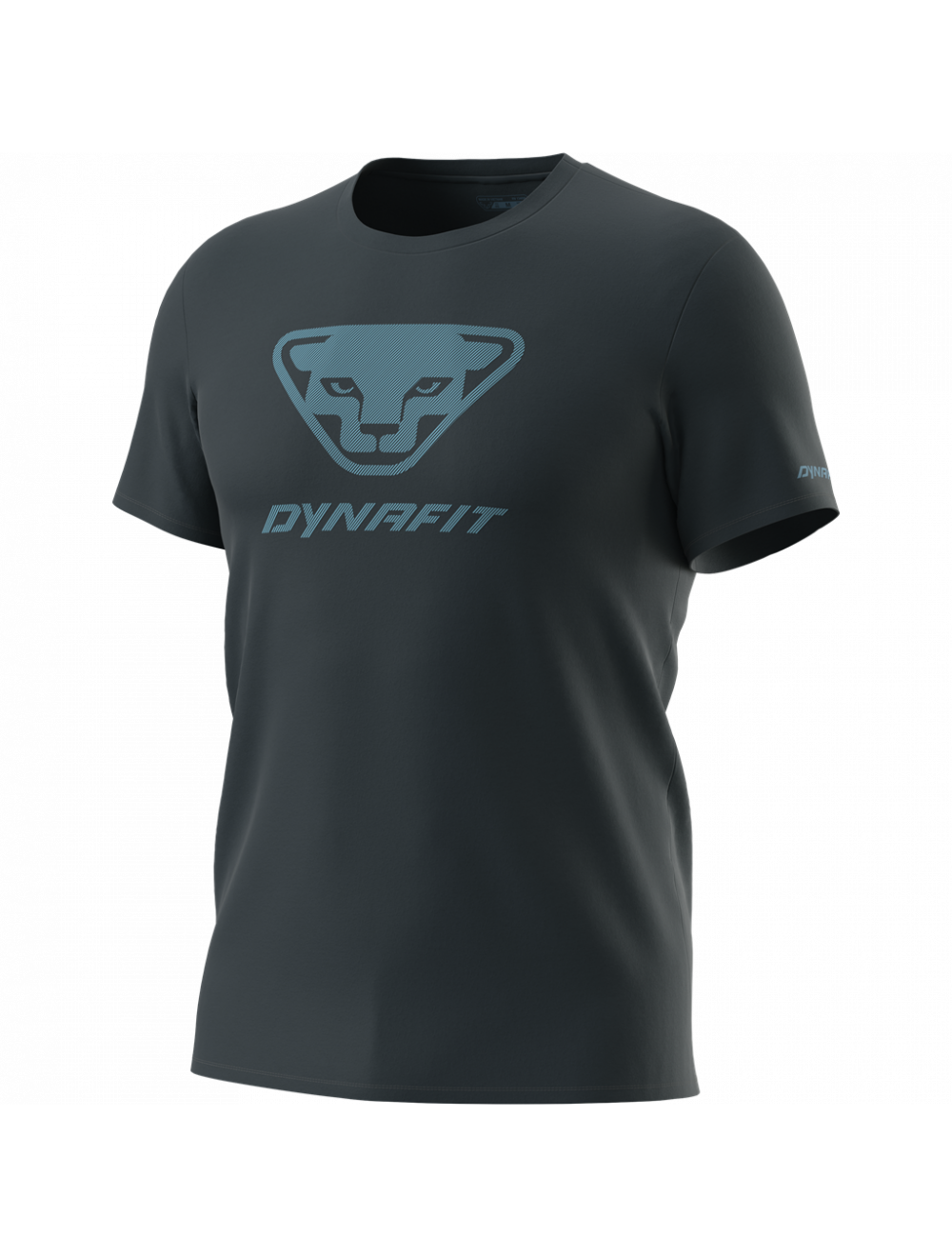 DYNAFIT Koszulka męska Graphic Cotton T-Shirt blueberry/3D